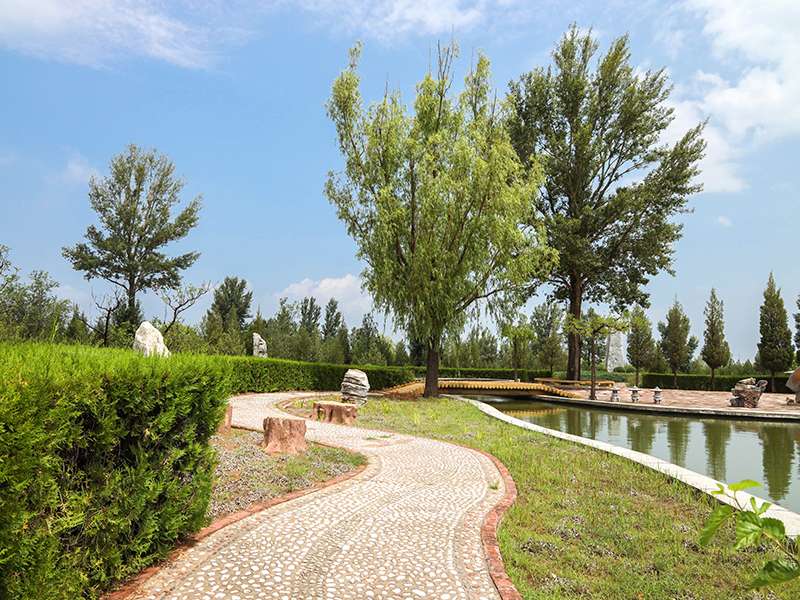 长青园骨灰林怎么样(长青园骨灰林还有位置吗) 长青园骨灰林怎么样(长青园骨灰林还有位置吗)