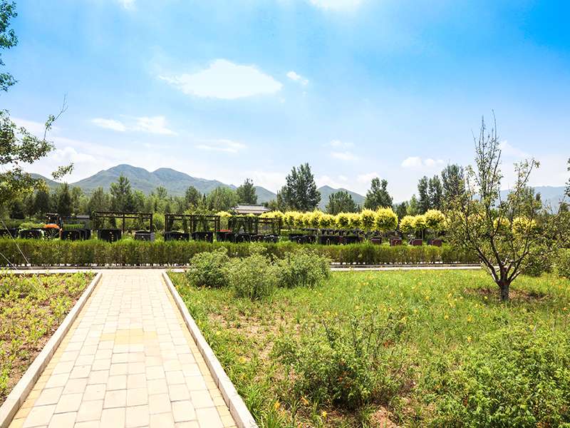 长青园怎么样(长青园是合法陵园吗) 长青园怎么样(长青园是合法陵园吗)