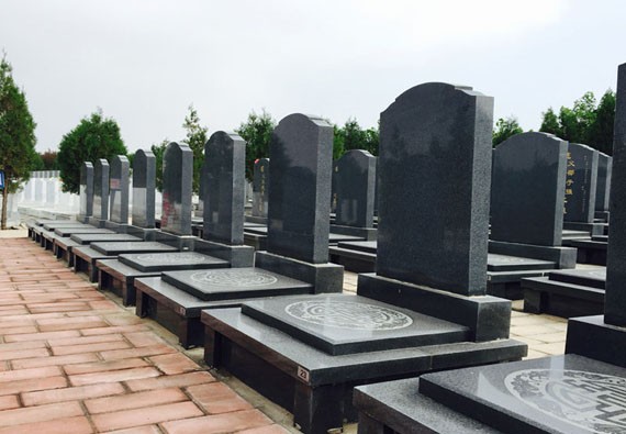 2022年清明节是什么时候?清明扫墓可以拿什么花? 2022年清明节是什么时候?清明扫墓可以拿什么花?