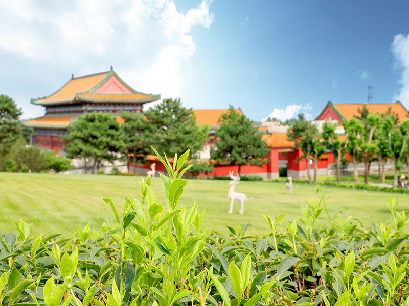 北京周边陵园中,固安施孝园是个怎样的陵园(陵园价格是多少) 北京周边陵园中,固安施孝园是个怎样的陵园(陵园价格是多少)