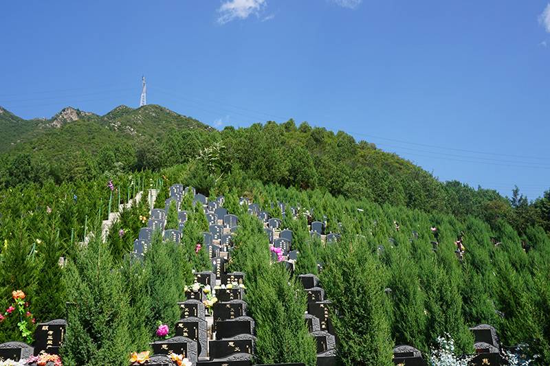 北京佛山陵园好不好(哪一片值得买) 北京佛山陵园好不好(哪一片值得买)