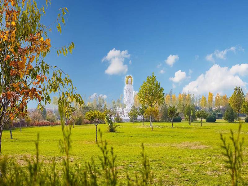 思亲园公墓地址怎么找(公共墓地能土葬吗) 思亲园公墓地址怎么找(公共墓地能土葬吗)