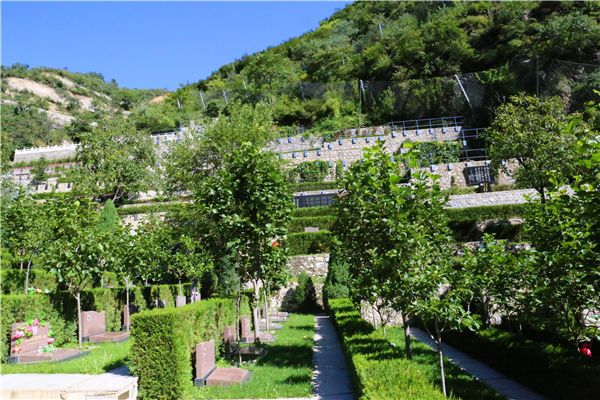 金山陵园公墓电话是什么(金山陵园环境怎么样) 金山陵园公墓电话是什么(金山陵园环境怎么样)