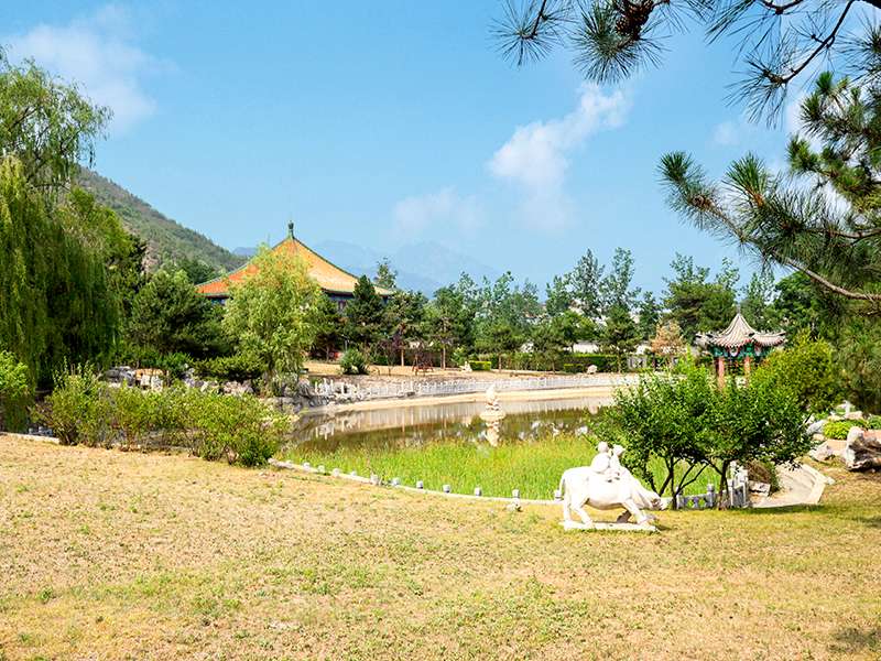 金山陵园网络预约需要注意什么(怎样才能买到好墓地) 金山陵园网络预约需要注意什么(怎样才能买到好墓地)