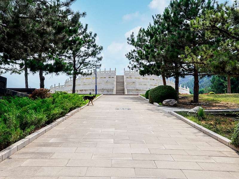 金山陵园预约流程(金山陵园注意事项) 金山陵园预约流程(金山陵园注意事项)