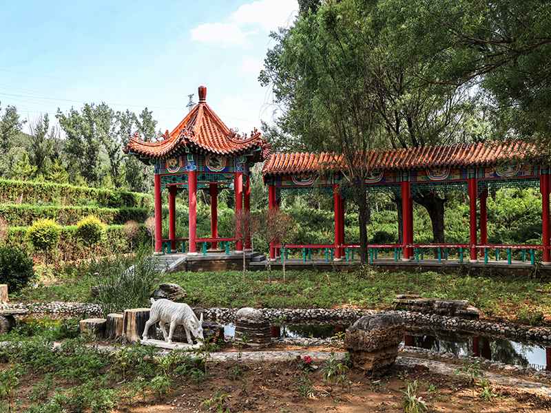 金山陵园值班电话是多少( 金山陵园的价格怎样) 金山陵园值班电话是多少( 金山陵园的价格怎样)