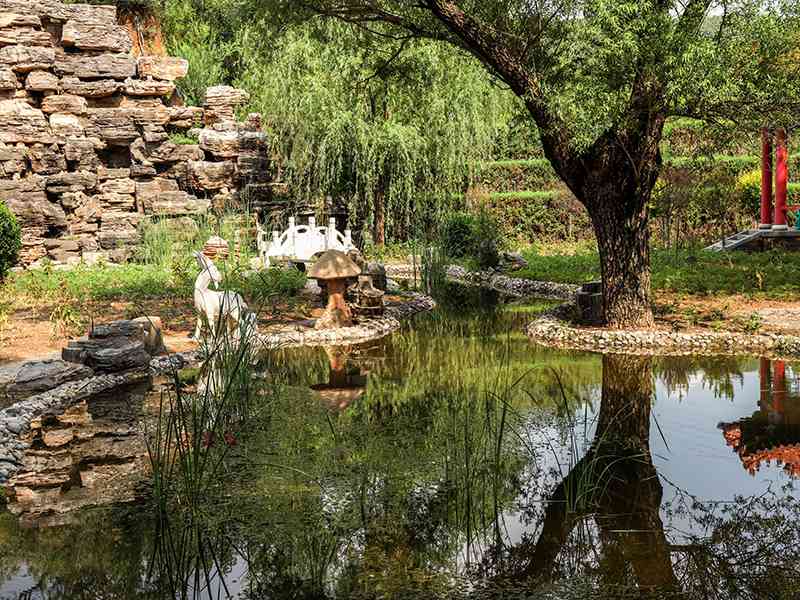 金山陵园电话查找途径 (金山陵园使用期限) 金山陵园电话查找途径 (金山陵园使用期限)