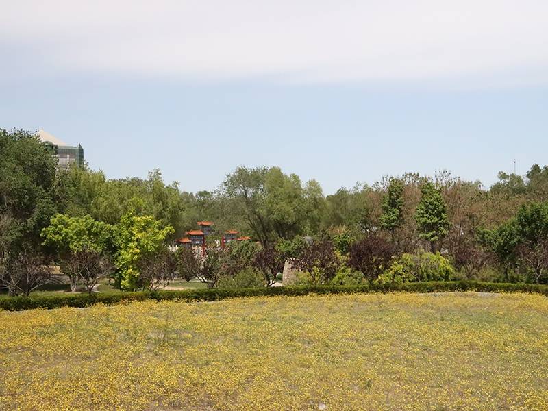 使用私家车跨省运送骨灰可以吗(有运灰的专用车辆吗) 使用私家车跨省运送骨灰可以吗(有运灰的专用车辆吗)