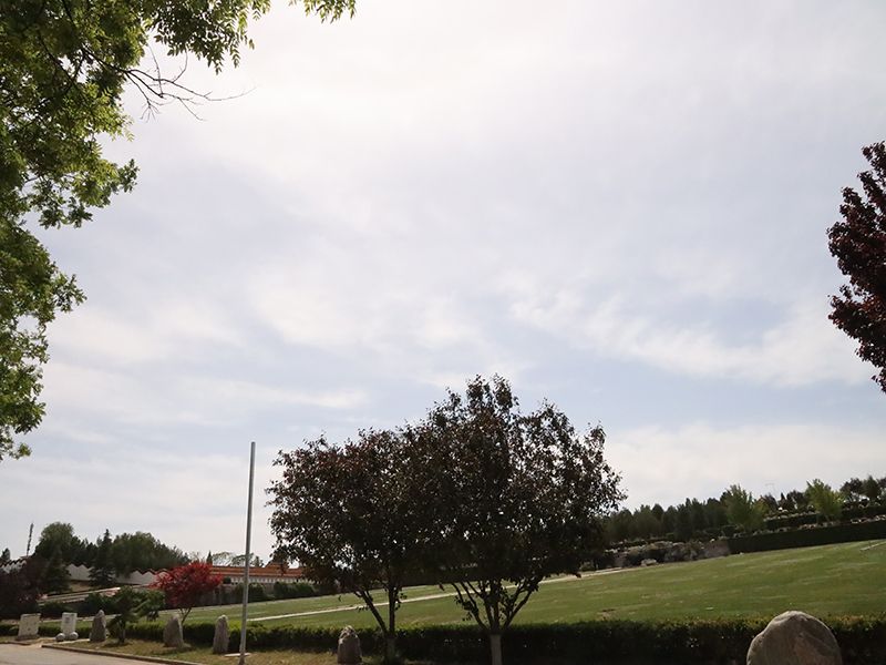 跨省运输可以使用私家车吗(使用私家车犯法吗) 跨省运输可以使用私家车吗(使用私家车犯法吗)