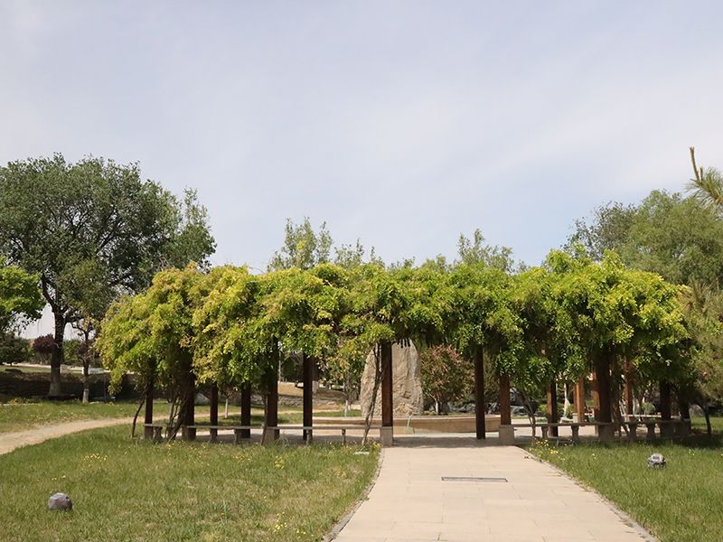 夏天,遗体跨省运输要注意什么(如何办理跨省运输) 夏天,遗体跨省运输要注意什么(如何办理跨省运输)