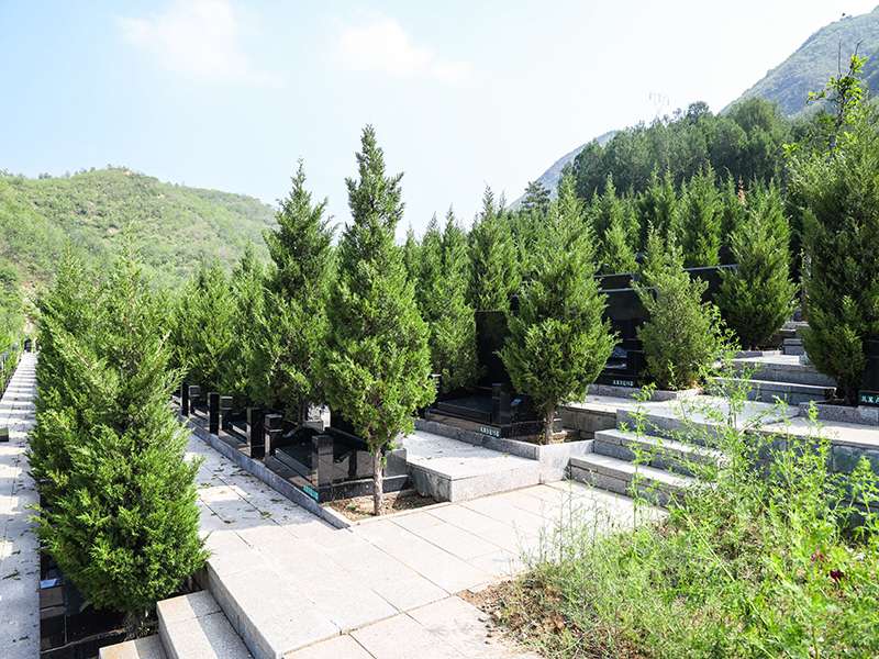 归山陵园墓地价格多少(归山陵园的墓穴多吗) 归山陵园墓地价格多少(归山陵园的墓穴多吗)