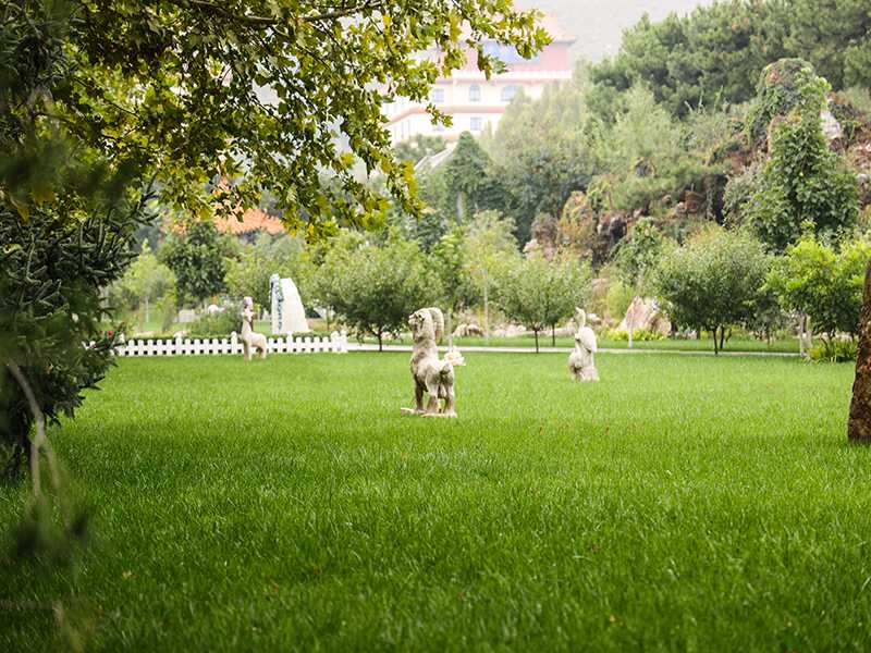 北京平谷归山陵园墓地价格表在哪里看(现在卖多少钱一平米) 北京平谷归山陵园墓地价格表在哪里看(现在卖多少钱一平米)